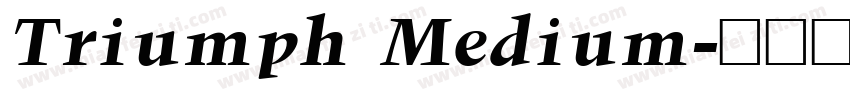 Triumph Medium字体转换